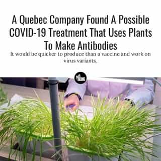 "Within five days, we have a batch of product," said Dr. Guy Tropper, senior vice president of ANGANY.⁠
⁠
*Click the link in @mtlblog bio for the full story! ⁠
⁠
📸: Roman Volskiy via @dreamstime⁠
