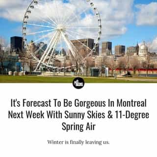 Get ready, guy-who-wears-shorts-prematurely! ⁠
⁠
*Click the link in @mtlblog bio for the full story! ⁠
