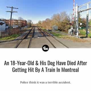 "Nothing led us to believe that it was voluntary"⁠
⁠
*Click the link in @mtlblog bio for the full story! ⁠
⁠
