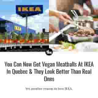 Now we have another reason to head to IKEA... not that we need any!⁠
⁠
⁠
*Click the link in @mtlblog bio for the full story! ⁠
⁠
📸: @ikeacanada⁠
