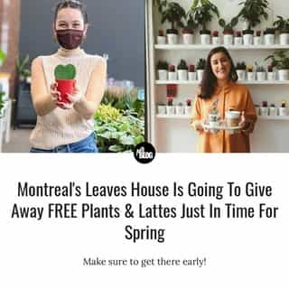 Just in time for Montreal's spring awakening! 🌱⁠
⁠
*Click the link in @mtlblog bio for the full story! ⁠
⁠
📸: @leaveshousecafe⁠
