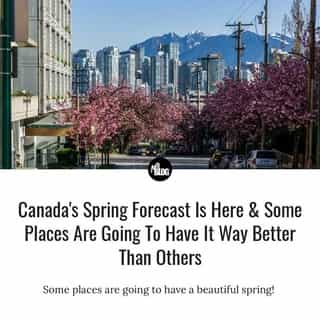 The Farmer's Almanac has dropped their annual spring weather forecast and it looks like some parts of Canada are going to have it better than others. ⁠
⁠
*Click the link in @mtlblog bio for the full story! 👈⁠
⁠
📸: Oleg Mayorov via @dreamstime
