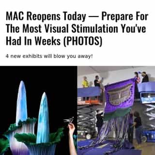 The Musée d'art contemporain de Montréal (MAC) reopens on February 10 and its current collections make for some thought-provoking and much-needed stimulation.⁠
⁠
*Click the link in @mtlblog bio for the full story! ⁠
⁠
📸: @macmontreal⁠
