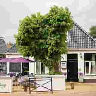 NIEUW OP HORECASPOT.NL 👀⁠
⁠
🍽  Restaurant Het Spijshuys⁠
📍  Boornbergum - Friesland ⁠
✔️  Verkoop van bedrijfsexploitatie & verhuur vastgoed ⁠
👉🏼  Restaurant met terras en woonruimte⁠
⁠
Meer info? Klik op de linkin.bio ⁠
