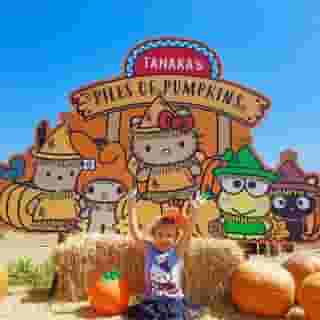 Hands up if you love Pumpkin Season! 🎃 Celebrate with your favorite #Sanrio friends at the @tanakafarms Pumpkin Patch until October 31st. Link in bio for hours and parking info.📸: on_top_of_the_world2016 