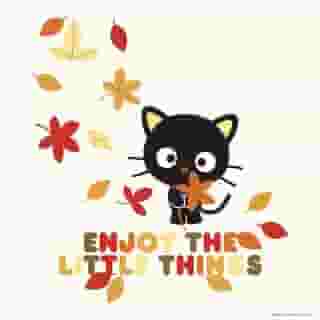 Happy #FirstDayOfFall 🍂 Visit the link in bio to shop this design on a tee! #Chococat 