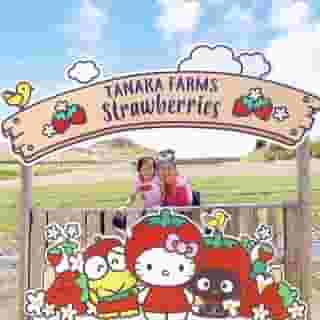 Come celebrate the strawberry season with @hellokitty and friends at @tanakafarms in SoCal! 🍓 Pick your very own strawberries and shop exclusive merch during the Strawberry Festival. Link in bio for more info + berry special events ✨ 📸: @lovestalgia #SanrioxTanakaFarms 