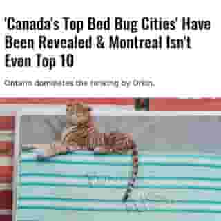 Orkin has released its list of 'Canada's Top Bed Bug Cities' and — maybe surprisingly — Montreal didn't even crack the top 10.⁠
⁠
*Click the link in @mtlblog bio for the full story! ⁠
⁠
📸: Marc Bruxelle via @dreamstime⁠
