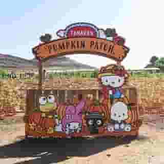 Snap the perfect pumpkin pic with supercute #HelloKitty and #Sanrio friends photo ops at the @TanakaFarms pumpkin patch! 🎃 The @Sanrio pumpkin patch is open until October 31st, visit the link in the bio for all the details and to get weekend parking passes. #SanrioxTanakaFarms