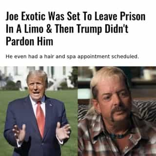 Despite rumours swirling that the U.S. president would pardon the Tiger King star, it seems Exotic has had his requests denied.⁠
⁠
*Click the link in @mtlblog bio for the full story! 👈⁠
⁠
📸: @realdonaldtrump & @imdb