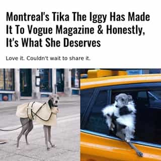 Vogue calls her the next "It girl." 😎⁠
⁠
⁠
*Click the link in @mtlblog bio for the full story! ⁠
⁠
📸: @tikatheiggy⁠
