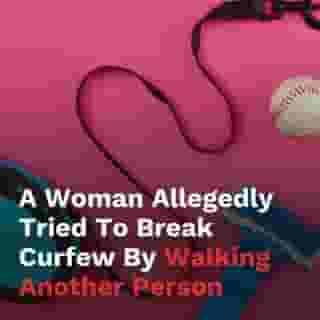 A woman allegedly tried to get around Quebec's curfew by walking another person on a leash.⁠
⁠
It didn't go well for her. 😮⁠
⁠
*Click the link in @mtlblog bio for the full story! ⁠
⁠
