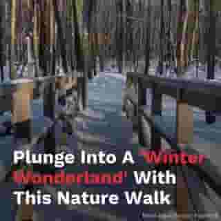 This 13-km nature walk in Laval will plunge you into a 'winter wonderland' ❄️⁠
⁠
Start 2021 on the right foot!⁠
⁠
*Click the link in @mtlblog bio for the full story! ⁠
⁠
