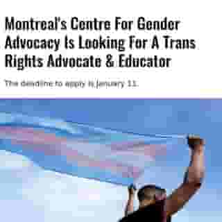 The Centre For Gender Advocacy is looking for a Trans Rights Advocate & Educator to join its team and help with the organization's continued efforts to promote "gender equality and empowerment."⁠
⁠
*Click the link in @mtlblog bio for the full story! ⁠
⁠
📸: Juan Moyano via @dreamstime⁠
