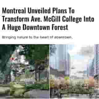 The City of Montreal has unveiled the winning design for the overhaul of avenue McGill College downtown! 💚⁠
⁠
*Click the link in @mtlblog bio for the full story! ⁠
⁠
📸: @designmtl⁠
⁠
#montrealigers #montreality #mtlmoments #montrealcity #montreallife #montrealjetaime 