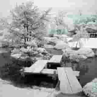 Montreal's Botanical Garden has reopened and it's the perfect place for a snowy winter day walk! ❄️😍⁠
⁠
*Click the link in @mtlblog bio for more information!  ⁠
⁠
📸: @val_plante⁠
 