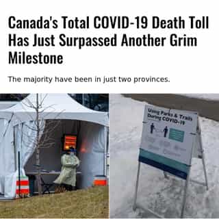 According to the government’s data, the majority of the deaths have been recorded in Ontario and Quebec, with the two provinces reporting 82.9%.⁠
⁠
*Click the link in @mtlblog bio for the full story! 👈⁠
⁠
📸: Derek Robbins & Zeljkokcanmore via @dreamstime