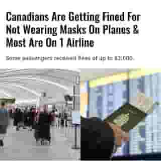 Almost 70% of the incidents involved one airline. ⁠
⁠
⁠
*Click the link in @narcitycanada bio for the full story! 👈⁠
