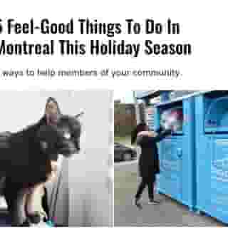 By volunteering or donating, you can not only put a smile on the face of someone who really needs one but also feel good about doing the right thing. ⁠
⁠
*Click the link in @mtlblog bio for the full story! ⁠
⁠
📸: @spcamontreal &  Le Support de la Société québécoise de la déficience intellectuelle via @facebook⁠
⁠
#montreality #montrealigers #mtlmoments #montrealcity ⁠
