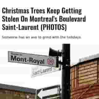 According to a December 8 post by the Société de développement du boulevard Saint-Laurent (SDBSL), seven trees have been stolen from the street in the last two weeks.⁠
⁠
*Click the link in @mtlblog bio for the full story! ⁠
⁠
📸: Adwo via @dreamstime⁠
⁠
#montrealigers #montreality #mtlmoments #montrealcity #montreallife #quebeclife