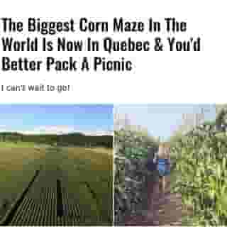 Le Grand labyrinth Servlinks corn maze in Quebec claims that, this year, it has broken the world record for biggest corn maze in the world.⁠
⁠
*Click the link in @mtlblog bio for the full story! ⁠
⁠
📸: Le Grand Labyrinth Servlinks & @audreyturcotte⁠

