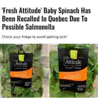A popular brand of baby spinach called Fresh Attitude has been recalled in Quebec due to a possible Salmonella contamination⁠
⁠
*Click the link in @mtlblog bio for the full story! ⁠
⁠
📸: Government of Canada Official Website⁠
⁠
#canadanews #quebeclife #quebecfood #montrealfood #montreallife⁠
