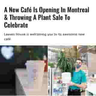 According to an Instagram post, visitors who purchase three plants can pick up a fourth for FREE. 🌱⁠
⁠
*Click the link in @mtlblog bio for the full story! ⁠
⁠
📸: @leaveshousecafe⁠
⁠
#montrealigers #montreality #montrealcity #montreallife #montrealcafe #montrealcoffee #plantmom #plantcollection