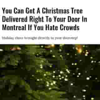 Wondering what Santa and his elves are doing for the holiday season 2020? They're delivering Christmas trees in Montreal, of course!⁠
⁠
*Click the link in @mtlblog bio for the full story! ⁠
⁠
📸: Iuliia Bondar via @dreamstime⁠
⁠
#montrealigers #montreality #mtlmoments #montrealcity #montreallife #christmaslights