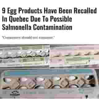 The Canadian Food Inspection Agency (CFIA) is alerting the public to an egg recall in Quebec by Les Œufs Richard Eggs Inc. due to a possible Salmonella contamination. ⁠
⁠
*Click the link in @mtlblog bio for the full story! ⁠
⁠
📸: @cfia_canada⁠
⁠
#foodrecall #cfia #salmonella #mtlnews⁠
⁠
