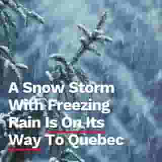 Do you have your winter tires on? ❄️😳⁠
⁠
*Click the link in @mtlblog bio for the full story! ⁠

