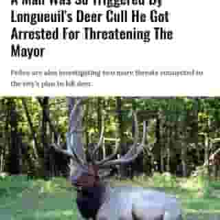 On November 18, the Service de police de l’agglomération de Longueuil (SPAL) arrested a male suspect for allegedly threatening Longueuil's mayor, Sylvie Parent, in connection with the city's decision to euthanize the deer, a spokesperson for the SPAL told MTL Blog.⁠
⁠
*Click the link in @mtlblog bio for the full story! ⁠
⁠
📸: Deplanqueo via @dreamstime⁠
⁠
#mtl #montreal #longueuil #deer #mtlnews