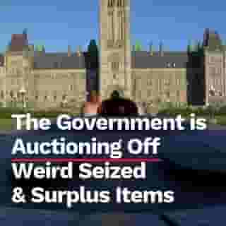 Some of it is dirt cheap.⁠
⁠
*Click the link in @mtlblog bio for the full story! ⁠
