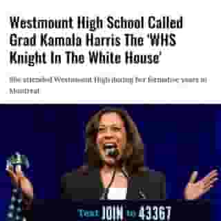 It's looking like former Montrealer, Kamala Harris, is set to become the first female Vice-President of the United States, according to AP projections — and her alma mater, Westmount High School (WHS), "couldn't be more proud." ⁠
⁠
*Click the link in @mtlblog bio for the full story! ⁠
⁠
📸: Sheila Fitzgerald via @dreamstime⁠
⁠
#montreal #westmounthigh #westmount #kamala #kamalaharris⁠
