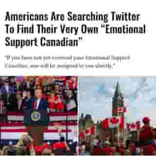 Americans are feeling the stress of election night and some have taken to Twitter to find "emotional support Canadians."⁠
⁠
*Click the link in @mtlblog bio for the full story! ⁠
⁠
📸: aspectsandanglesphotography & Jiawangkun via @dreamstime⁠
⁠
 #canada #election #twitter #canadian #american 