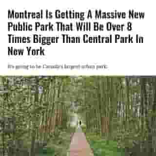 The park would be the largest of its kind in Canada and 8 times larger than Central Park in New York.⁠
⁠
*Click the link in @mtlblog bio for the full story! ⁠
⁠
📸: Photo 111322429 © Appleparsley via @dreamstime⁠
⁠
#mtl #montreal #mtlparks #publicparks #centralpark #greenspace #urbandevelopment #greencities