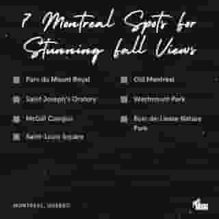 They're unbe-leaf-ably pretty! Here's 7 stunning Montreal spots that offer one last chance to take in colourful fall views. ⁠
⁠
*Click the link in @mtlblog bio for the full list! ⁠
⁠
