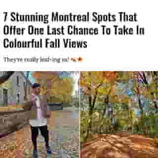 We're gonna miss them... 🍃🍂⁠
⁠
*Click the link in @mtlblog bio for the full story! ⁠
⁠
📸: @izzyright & @mtlblog⁠
