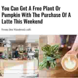 For a little bit of joy in these dreary times. ☕🎃⁠
⁠
*Click the link in @mtlblog bio for the full story! ⁠
⁠
📸: @leclubespressobar⁠
⁠
⁠
