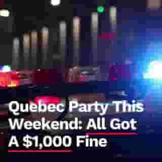 $83,000 in fines just for one party...⁠
⁠
*Click the link in @mtlblog bio for the full story! ⁠
