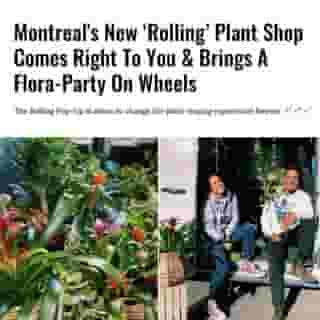 Montrealers never fail to take the old and make it new. Take The Rolling Pop-Up, Montreal's first plant boutique on wheels, as the perfect example. ⁠
⁠
Click the link in @mtlblog bio for the full story! ⁠
⁠
📸: @therollingpopup⁠
⁠
#mtl #montreal #mtlplants #plantpopup #plants #plantlover #indoorjungle #plantaddict⁠
