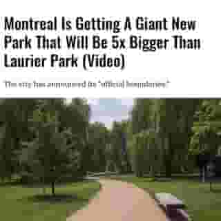The city is getting yet another new park! 🌳⁠
⁠
Click the link in @mtlblog bio for the full story! ⁠
⁠
📸: Iva Vagnerova via @dreamstime⁠
⁠
#mtl #montreal #greenspace #parks #mtlparks #parc ⁠
