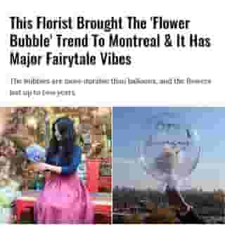 Remember Belle’s enchanted glass-encased rose in Beauty and the Beast? Yeah. That. 🌹⁠
⁠
Click the link in @mtlblog bio for the full story! ⁠
⁠
📸: @iruda_flower