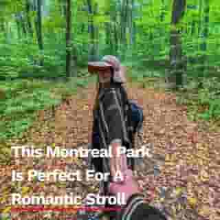 Enjoy the last colours of fall!⁠
⁠
Click the link in @mtlblog bio for the full story! ⁠
