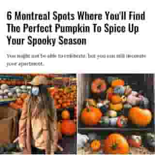 It's Halloween month in Montreal even though it might not feel like it with the city in 'red alert' and questions looming over what we'll actually be able to do on October 31.⁠
⁠
Click the link in @mtlblog bio for the full story! ⁠
⁠
📸: @mtlelle & @memento.flora⁠
⁠
#mtl #montreal #pumpkin #halloween #halloween2020⁠
