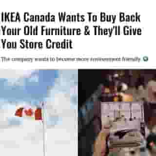 In a press release on Tuesday, the company confirmed that the new change is an attempt to tackle waste while promoting sustainable living.⁠
⁠
*Click the link in @mtlblog bio for the full story! 👈⁠
⁠
📸: billow926 & Jp Valery via @unsplash⁠
⁠
#ikeacanada #ikea #canadanews