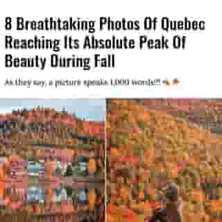 La belle province may be belle during every season, but fall in Quebec truly takes the cake when it comes to beautiful sights.⁠
⁠
Click the link in @mtlblog bio for the full story! ⁠
⁠
📸: @ericbranover⁠
⁠
#mtl #montreal #fall #autumn #leaves⁠
