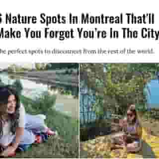 From hidden gems to well-known spots with an abundance of trees and beauty, the natural beauty found in our city shouldn't be taken for granted!⁠
⁠
Click the link in @mtlblog bio for the full story! ⁠
⁠
📸: @nisinrealife & @yoitsyoyolani⁠
⁠
#mtl #mtlparks #exploremtl #nature #quebec #fall⁠
