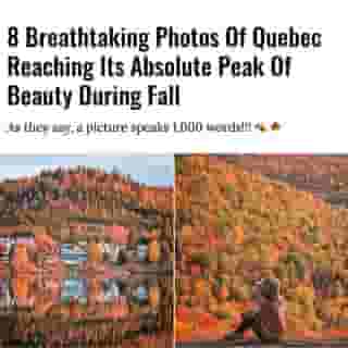 Wishing this beautiful season never ended. 🍂⁠
⁠
Click the link in @mtlblog bio for the full story! ⁠
⁠
📸: @ericbranover ⁠
⁠
#montreal #mtl #exploremtl #fall #fallinquebec⁠
