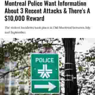 Montreal police will be knocking on doors in Old Montreal today to gather information about three violent events that took place in the area between July and September, according to a news release on the SPVM website. ⁠
⁠
Click the link in @mtlblog bio for the full story! ⁠
⁠
📸: Jerome Cid via @dreamstime⁠
