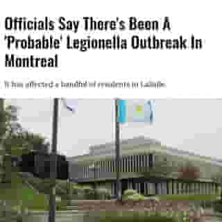 The bacteria can cause symptoms like cough, shortness of breath, fever, and aches.⁠
⁠
Click the link in @mtlblog bio for the full story! ⁠
⁠
📸: T31 via @wikicommons⁠
 